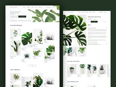 House plants :: online store clean ui design desktop desktop design ecommerce shop figma figmadesign homepage layout minimal online shop online store product page shop ui web design webdesign website white whitespace