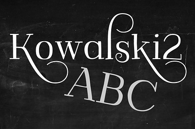 Kowalski2 ABC set animation branding design graphic design illustration illustrator minimal typography ux web