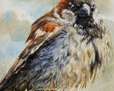 Cute Sparrow watercolor illustration animal art animal illustration art bird bird illustration character design cute cute animal cute art cute illustration illustraion illustration art painting sparrow traditional art traditional illustration watercolor watercolor art watercolor illustration watercolor painting