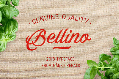 Bellino branding design graphic design illustration illustrator logo minimal typography ux vector