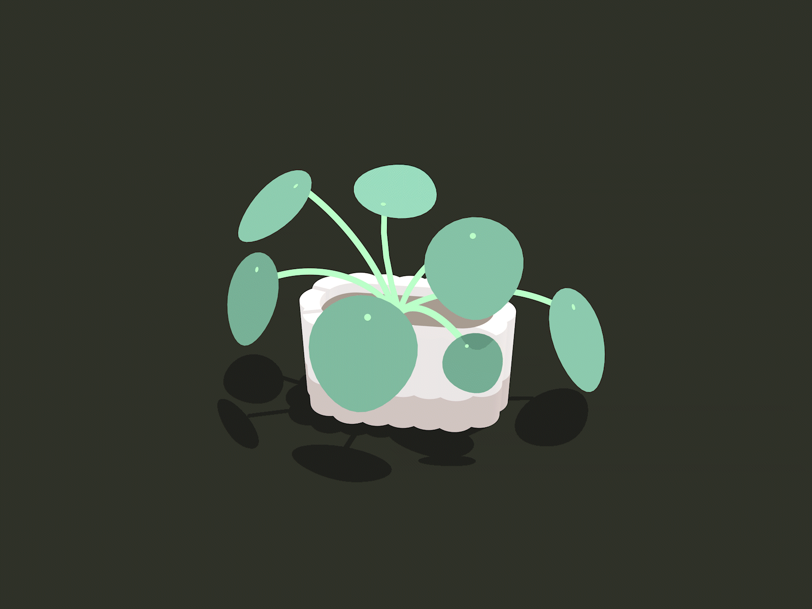 Potted Plant Animation animation cinema 4d green house plant illustration pilea peperomioides plant wind