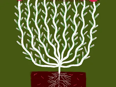 Flowers that are Weeds abstract adobe adobe fresco adobe illustrator art design flower illustration illustrator plants procreate