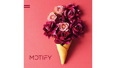 MOTIFY logo and brand identity branding clean design graphic design identity design illustrator logodesign typography