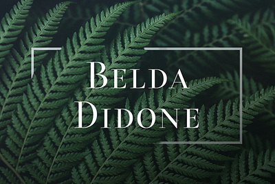 Belda Didone animation branding clean graphic design illustration illustrator logo minimal typography vector