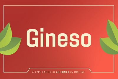 Gineso animation branding design graphic design illustration illustrator minimal typography ui vector