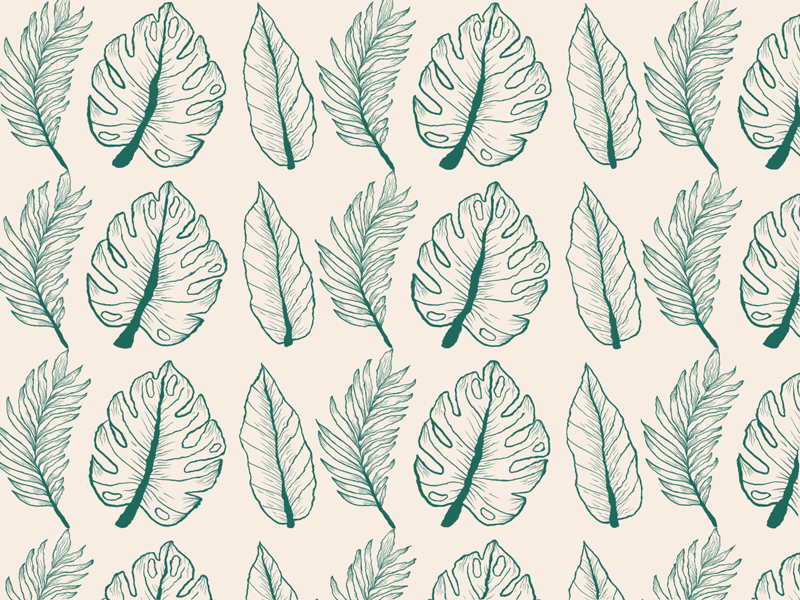 Monstera botanical design flat floral house plants illustration monstera monstera deliciosa pattern pattern design plant illustration plants vector