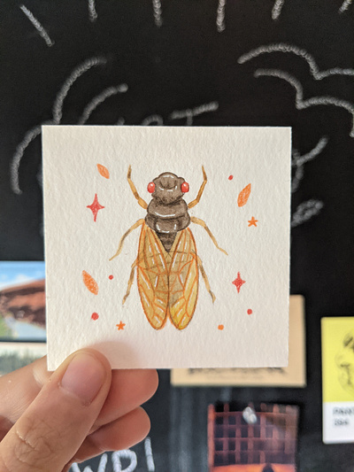 Watercolor cicada art drawing hand drawn illustration insect nature watercolor watercolor painting