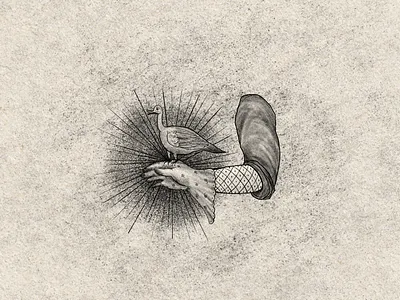 Bird Holding bird drawing hand illustration