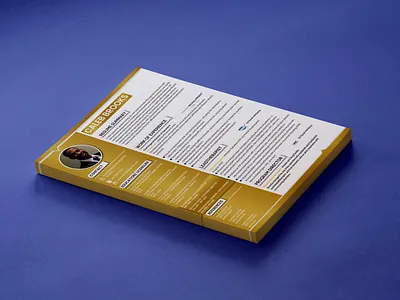 RESUME CV DESIGN resume resume clean resume cv resume design resume template