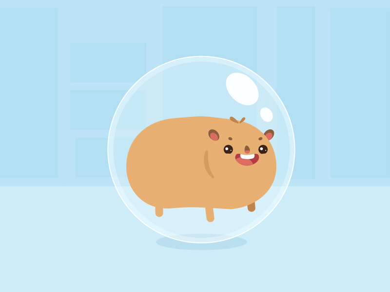 hamster ball animation ball globe hamster home pet run running small