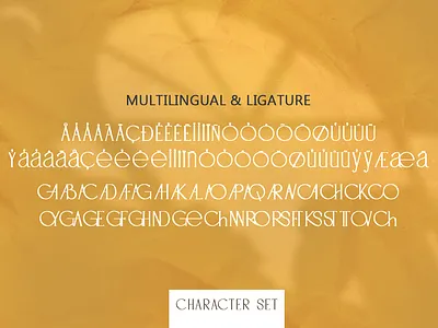 Cheyra - Modern Sans Serif art branding design logo fashion font font awesome font design font family fonts glamour lettering logo paint typography