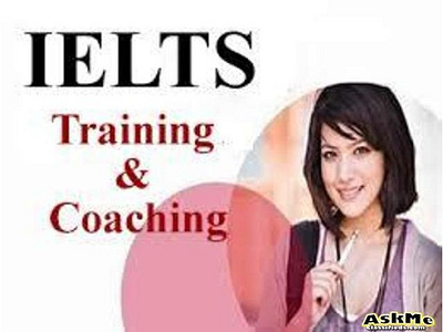 Whatsapp +44 7448 183503,Buy ielts online in india,buy ielts onl animation branding buy ielts certificate online buy ielts online buy pte online in australia design ielts exam in india ielts online illustration illustrator minimal typography vector web website