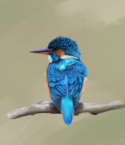 Halcyon digital painting bird illustration digital art digital painting halcyon illustration photoshop