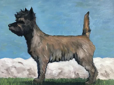 Cairn Terrier cairn terrier dogs oil paint painting