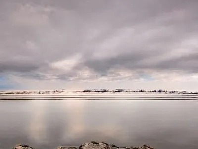 Ngaputrua nature ngaputrua water