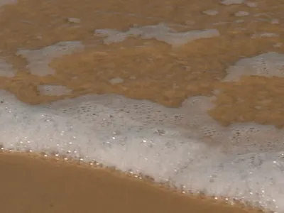 Constanța Logo Challenge branding design graphic design illustration logo motion graphics