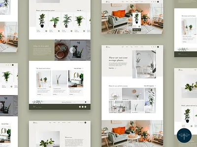 Flora Concept Design - 3 design ui web design
