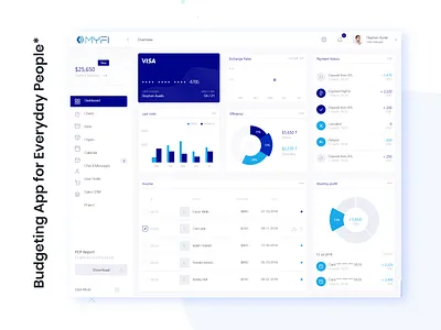 Budgeting App for Everyday People app branding dashboard design ui ux