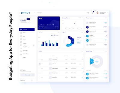 Budgeting App for Everyday People app branding dashboard design ui ux