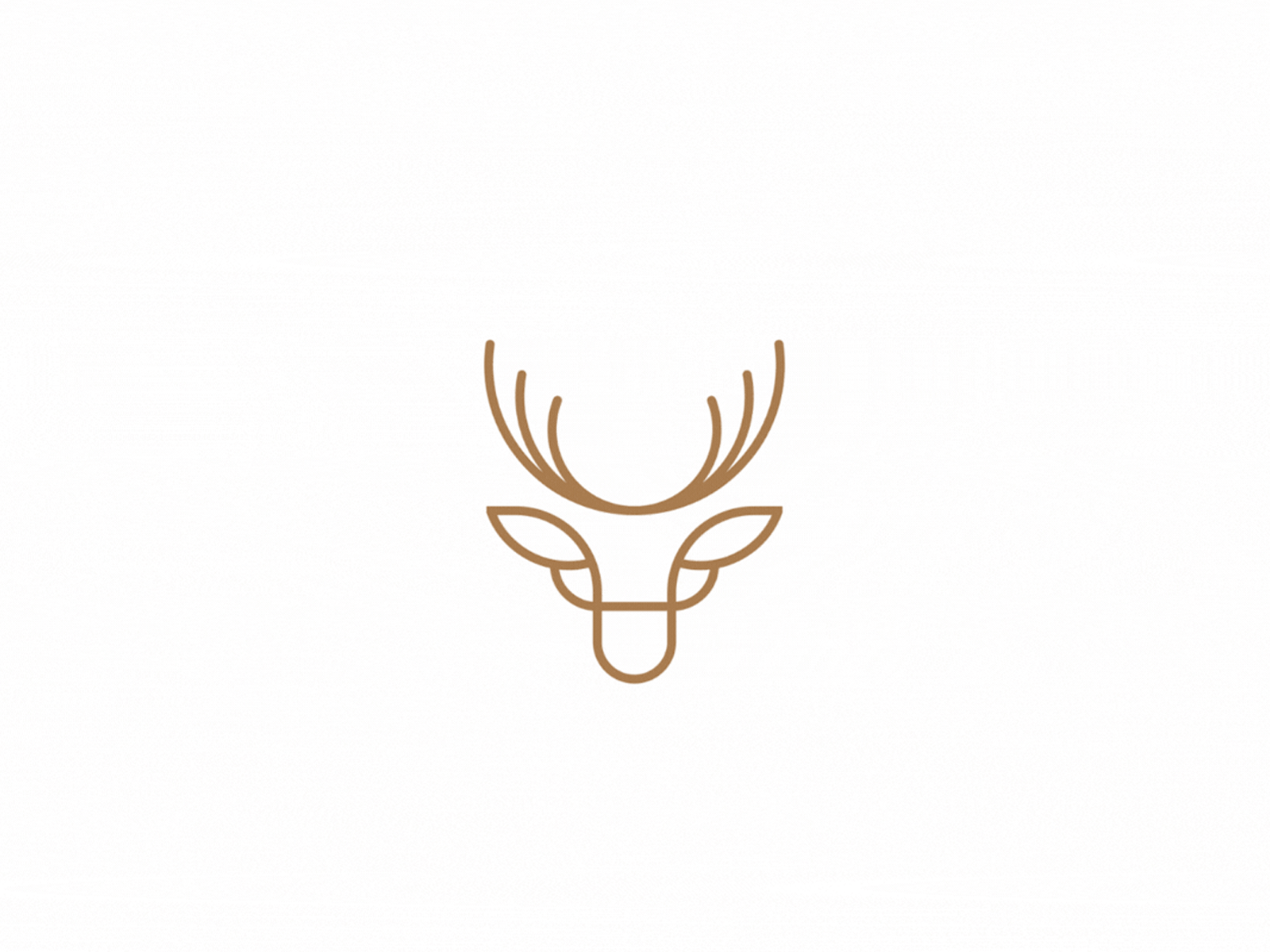 Deerline branding design elegant design geometric design illustration logo minimal simple design vector