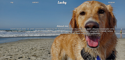 Lucky's webpage css3 design html css html5 illustration web