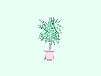 Yucca Tree Illustration art green illustration pink plant yucca yuccatree