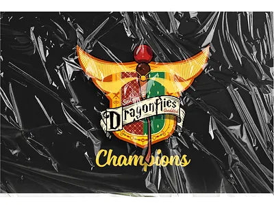 Saigon DragonFlies Quidditch - logo game graphic design illustration logo quidditch