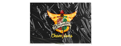 Saigon DragonFlies Quidditch - logo game graphic design illustration logo quidditch