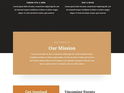 Animal Rescuer and Welfare NGO branding design illustration logo ui ux