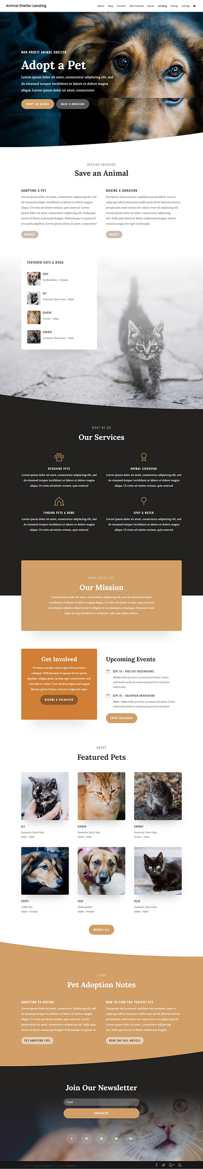 Animal Rescuer and Welfare NGO branding design illustration logo ui ux