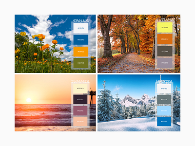 The Four Seasons Color palette color palettes design graphic design photography