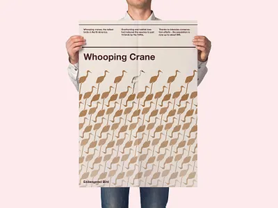 Endangered Bird: Whooping Crane birds design jombie graphic design illustration international typographic style pattern desogn peta poster design sushant sushant kumar rai swiss poster design swiss style