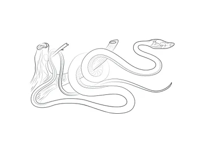 Line art design digital drawing face drawing illustration illustration art line art line art logo logo one line art vector