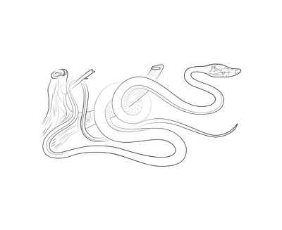 Line art design digital drawing face drawing illustration illustration art line art line art logo logo one line art vector