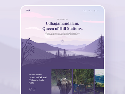 Visit Ooty - Tourism Website design graphic design ui ui design uiinspiration uiux ux web