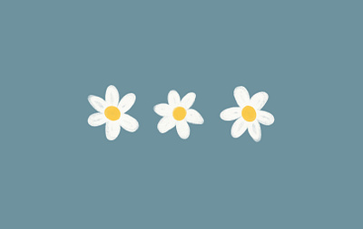 Daisies! branding design flat graphic design illustration illustrator logo minimal ui vector