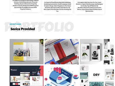 Portfolio Homepage Design branding graphic design logo portfolio portfolio site web desiging web design web developing website design website developer