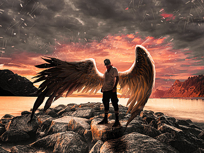 Lost Angel art clean concept creative design dribbble graphic design illustration