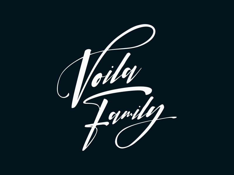 VOILAFAMILLY animation graphic design logo motion graphics