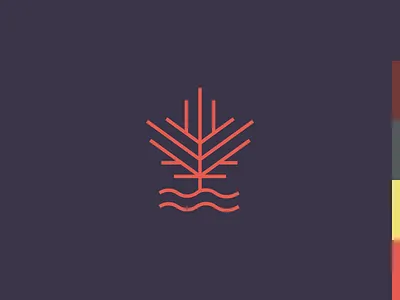 Maple Creek | Branding