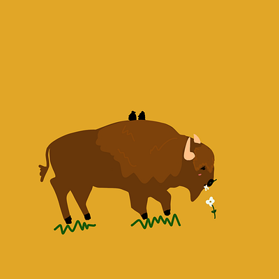 Bison’s Life illustration illustrationoftheday illustrator minimal