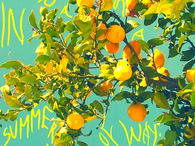 Suicide Saturday 3d animation app art branding cannabis design illustration logo ui