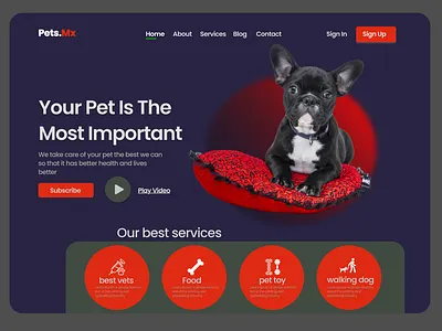 Pet shop ui design with vet service branding design logo web webdesign