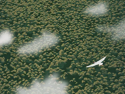 Ibis flight bird crypto art digital art editorial illustration florida ibis illustration landscape nature illustration nft nftart vector illustration