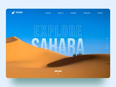 Sahara Desert - Banner Concept 🌵 banner branding figma graphic design illustration ui ux web