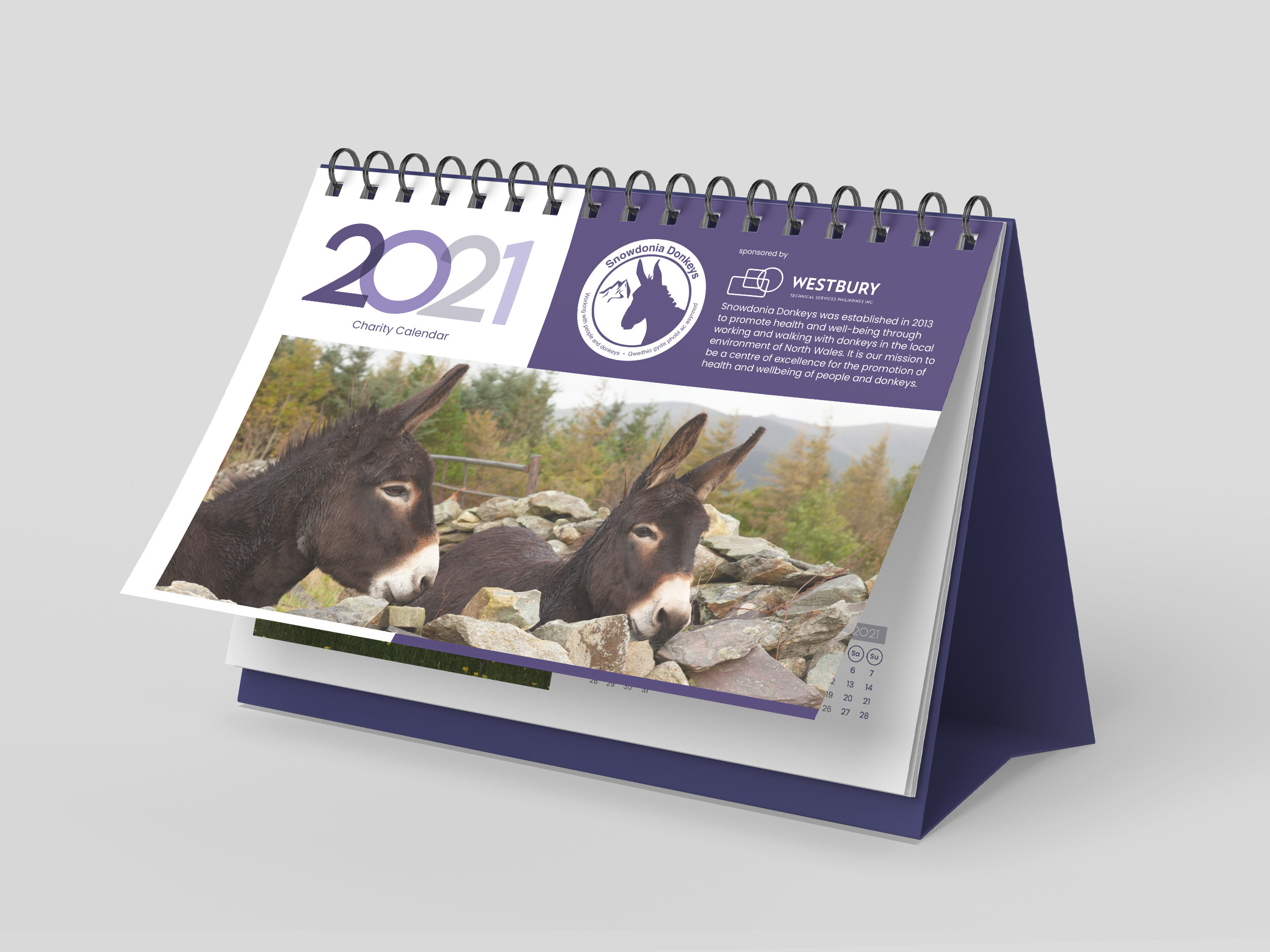 Example of Snowdonia Donkeys calendar 2021
