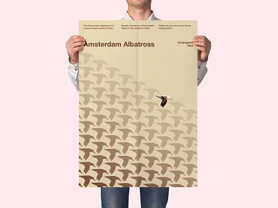 Endangered Bird: Amsterdam Albatross communication design create awareness graphic design international typographic style pattern design pattern poster poster design sushant kumar rai swiss design