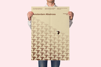 Endangered Bird: Amsterdam Albatross communication design create awareness graphic design international typographic style pattern design pattern poster poster design sushant kumar rai swiss design