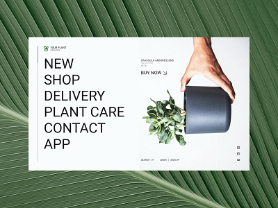 Plants online store design typography ui ux