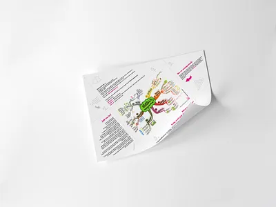 Folding flyer branding design flyer folding illustration minimalism minimalist simple typography